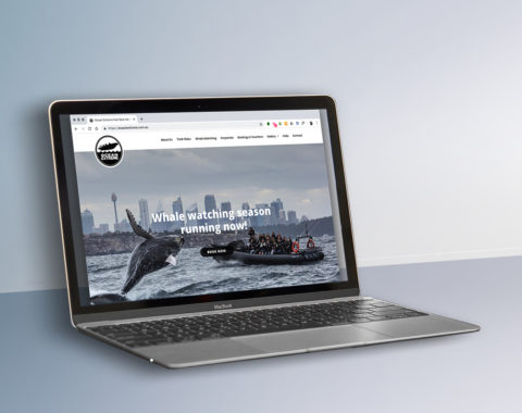 Ocean Extreme website
