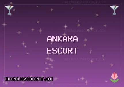 Ankara Escort: Beypazarı Escort, Akyurt Escort, Pursaklar Escort