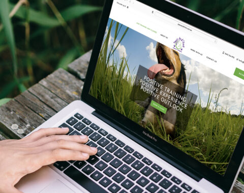 Paws and Think website design