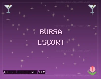 Bursa Escort: Osmangazi Escort, Yenişehir Escort, İnegöl Escort